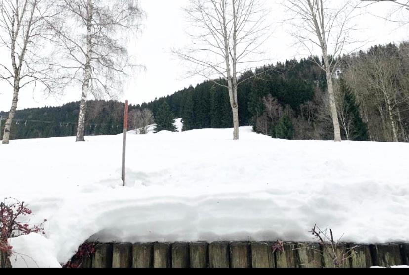 Fewo Alpenwiese Mit Hallenbad&Sauna Missen-Wilhams Exterior photo