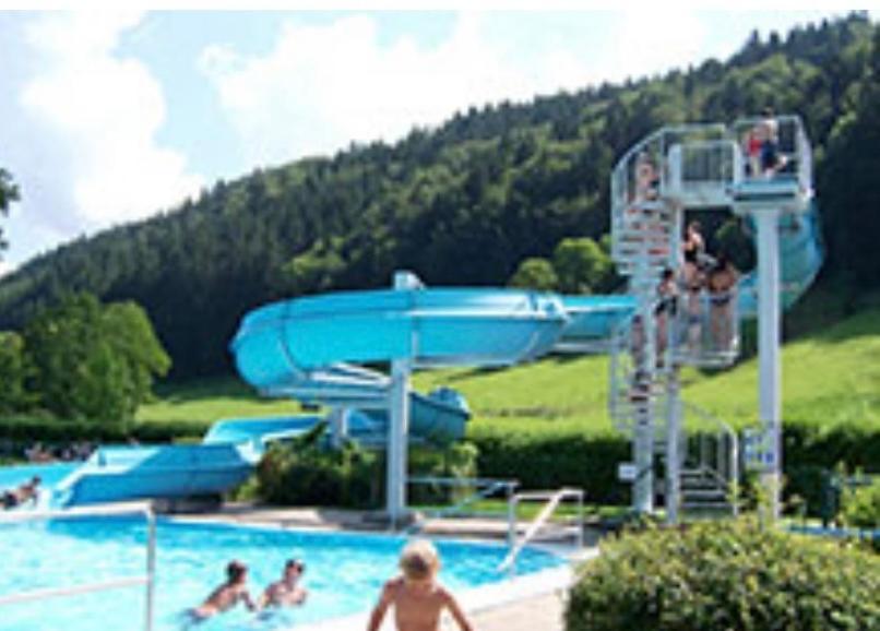 Fewo Alpenwiese Mit Hallenbad&Sauna Missen-Wilhams Exterior photo